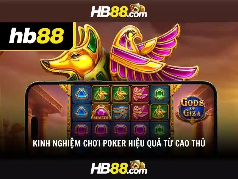 Sản phẩm và dịch vụ chính