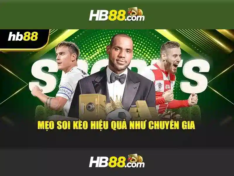 hb88 là gì và vì sao nó được quan tâm