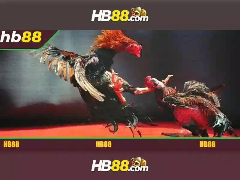 Giao diện nhà cái hoàn hảo