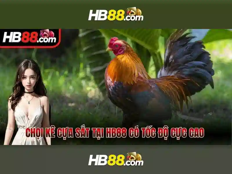 Giao diện nhà cái hoàn hảo
