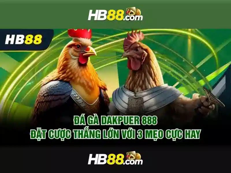 HB88: Đánh giá và hướng dẫn chơi cược trực tuyến an toàn Giao diện nhà cái hoàn hảo
