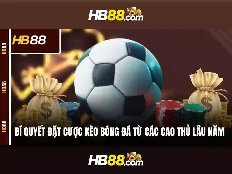 Giao diện người dùng thân thiện và tương thích di động