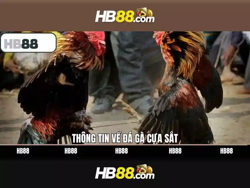 hb88: Đánh giá nền tảng cá cược trực tuyến đáng tin cậy Giao diện nhà cái hoàn hảo