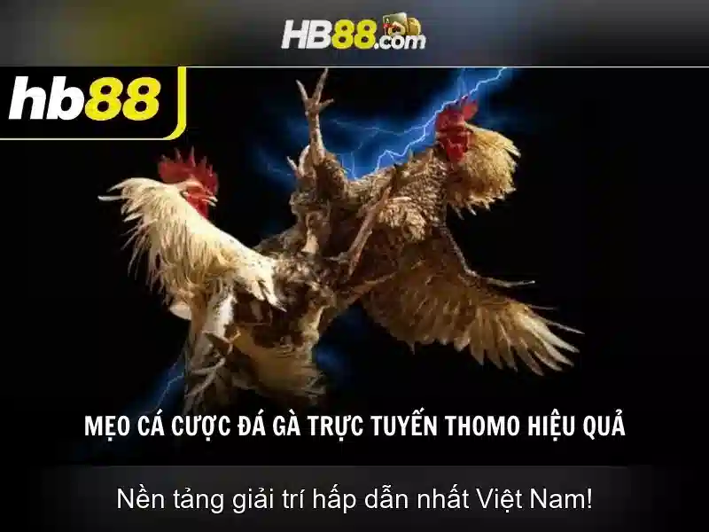hb88 và sự nổi bật của nền tảng giải trí trực tuyến Giao diện nhà cái hoàn hảo