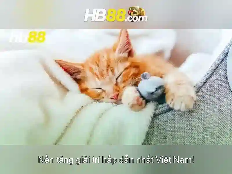 Giao diện nhà cái hoàn hảo