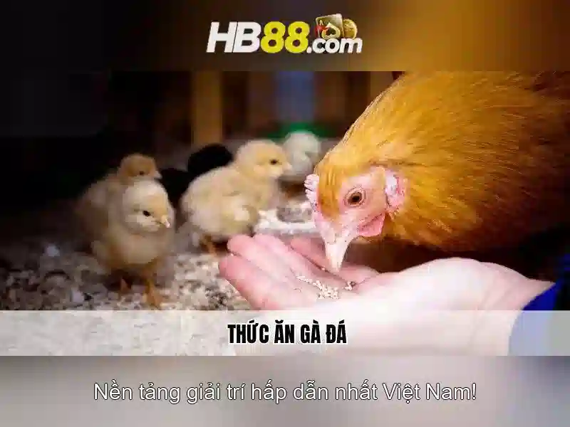 HB88 là gì và các tính năng của nền tảng cược trực tuyến Giao diện nhà cái hoàn hảo