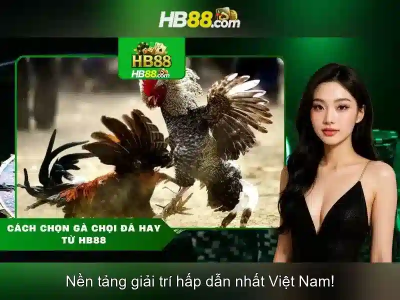 Các sản phẩm nổi bật