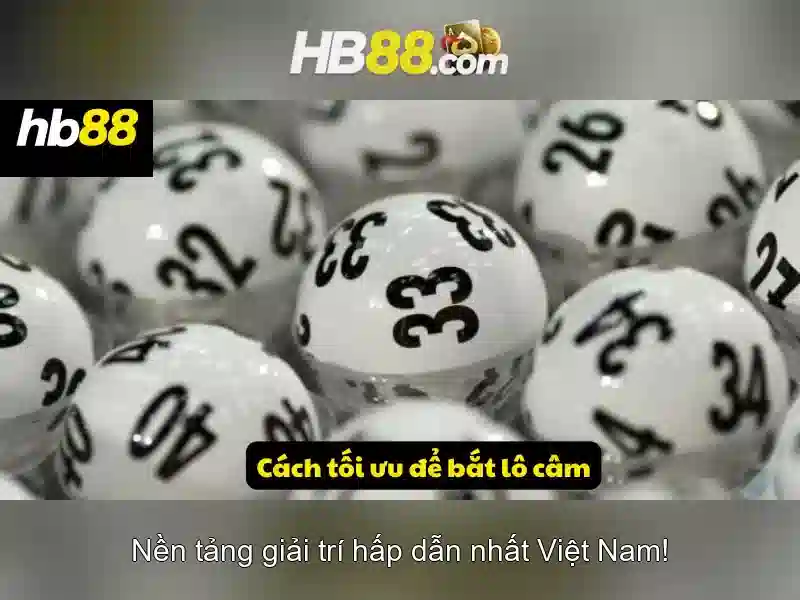 Giao diện nhà cái hoàn hảo