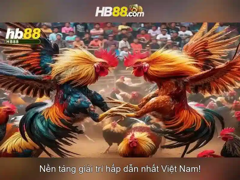 Hướng dẫn đăng ký và trải nghiệm người dùng