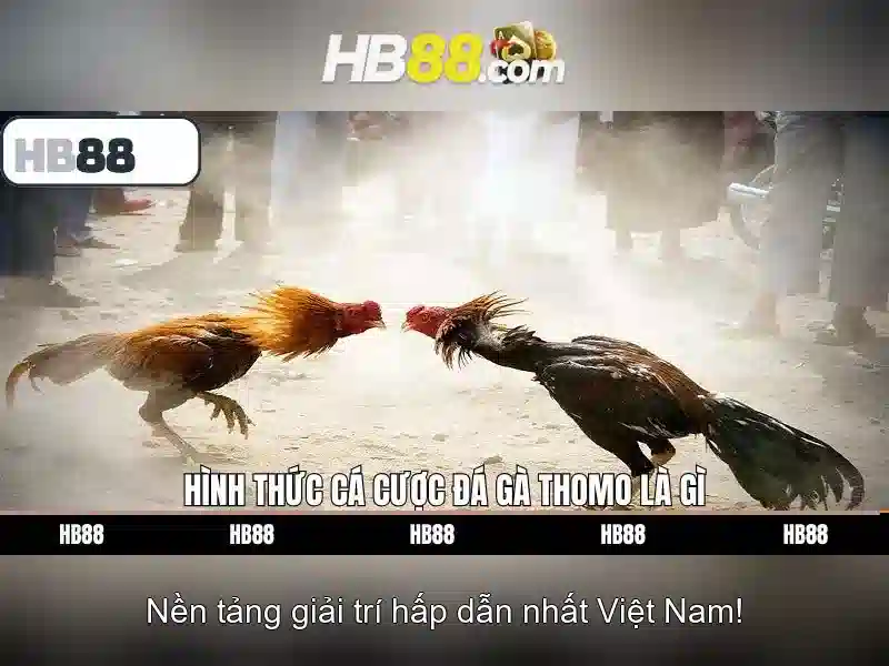 hb88: Tổng quan về nền tảng cược và trò chơi trực tuyến Giao diện nhà cái hoàn hảo